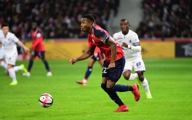 体育赛事正 体育赛事正