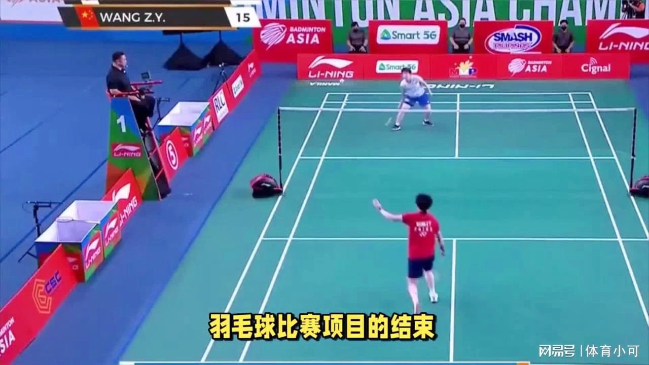 可替代